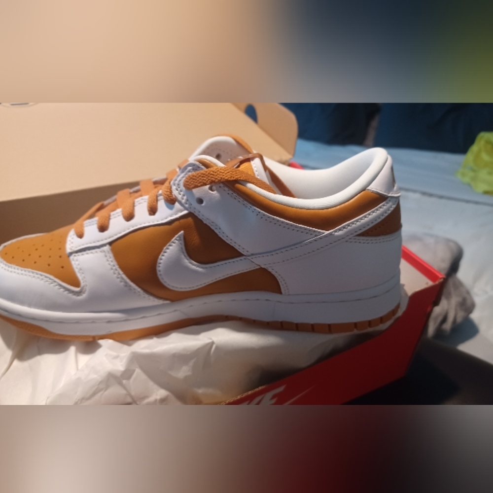 Men's Nike